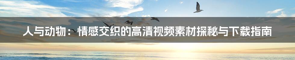 人与动物：情感交织的高清视频素材探秘与下载指南