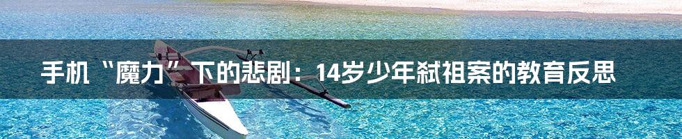 手机“魔力”下的悲剧：14岁少年弑祖案的教育反思