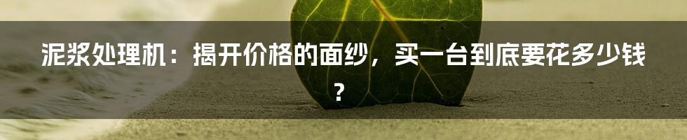 泥浆处理机:揭开价格的面纱,买一台到底要花多少钱?
