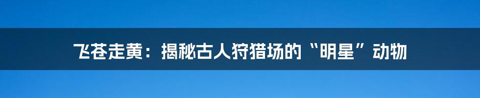 飞苍走黄：揭秘古人狩猎场的“明星”动物