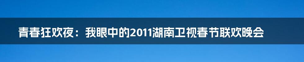 青春狂欢夜:我眼中的2011湖南卫视春节联欢晚会