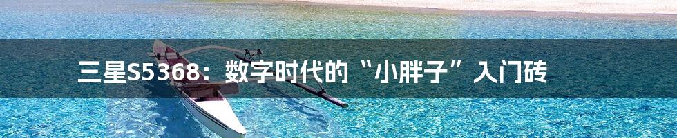 三星S5368：数字时代的“小胖子”入门砖