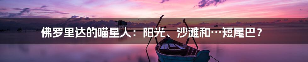 佛罗里达的喵星人：阳光、沙滩和…短尾巴？