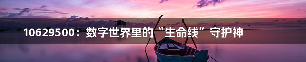 10629500：数字世界里的“生命线”守护神