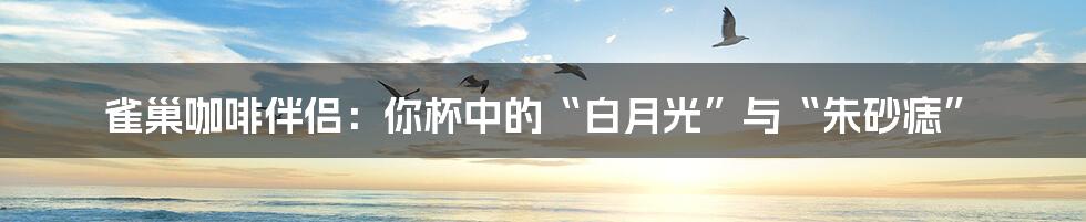 雀巢咖啡伴侣：你杯中的“白月光”与“朱砂痣”