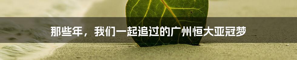 那些年，我们一起追过的广州恒大亚冠梦