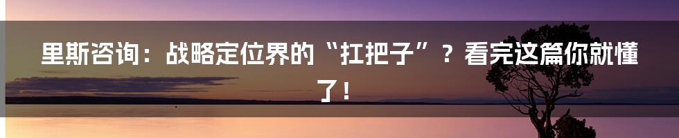里斯咨询:战略定位界的“扛把子”?看完这篇你就懂了!