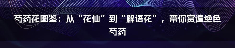 芍药花图鉴：从“花仙”到“解语花”，带你赏遍绝色芍药