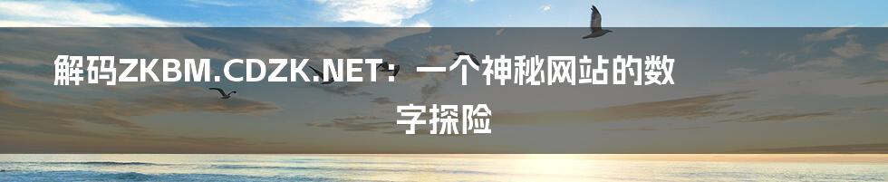 解码ZKBM.CDZK.NET：一个神秘网站的数字探险