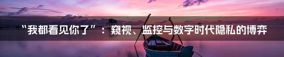 “我都看见你了”:窥视、监控与数字时代隐私的博弈