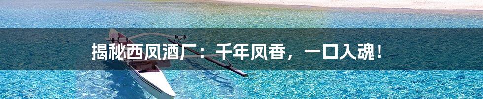 揭秘西凤酒厂：千年凤香，一口入魂！