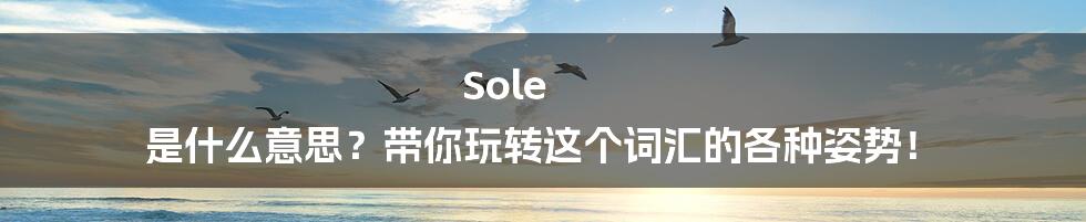 Sole 是什么意思？带你玩转这个词汇的各种姿势！