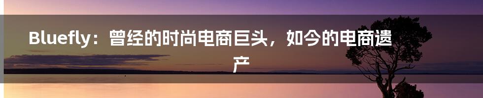 Bluefly:曾经的时尚电商巨头,如今的电商遗产