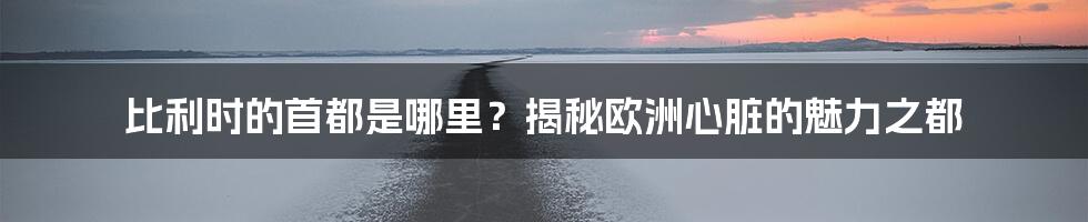 比利时的首都是哪里？揭秘欧洲心脏的魅力之都