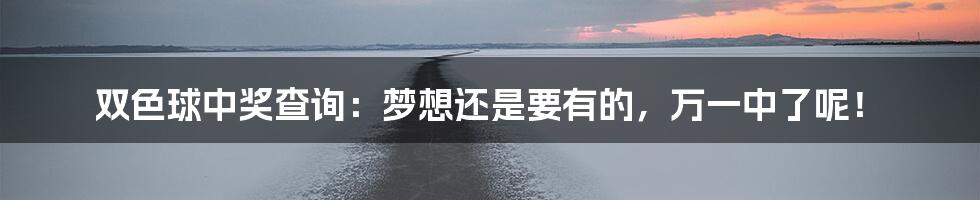 双色球中奖查询:梦想还是要有的,万一中了呢!