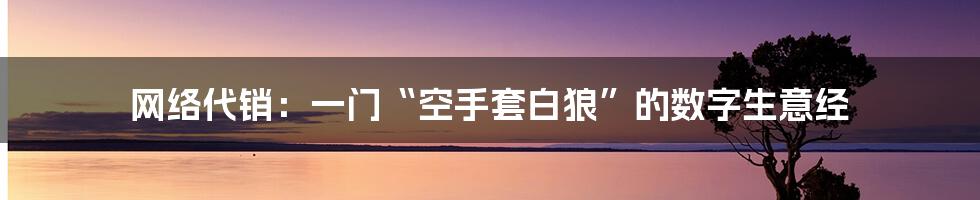 网络代销:一门“空手套白狼”的数字生意经