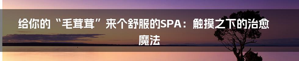 给你的“毛茸茸”来个舒服的SPA：触摸之下的治愈魔法