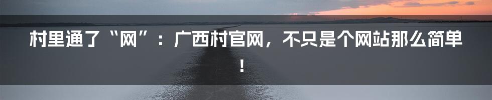 村里通了“网”：广西村官网，不只是个网站那么简单！