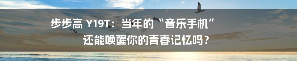 步步高 Y19T:当年的“音乐手机” 还能唤醒你的青春记忆吗?