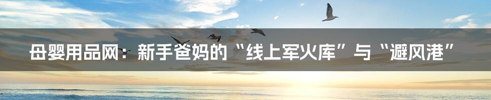 母婴用品网：新手爸妈的“线上军火库”与“避风港”