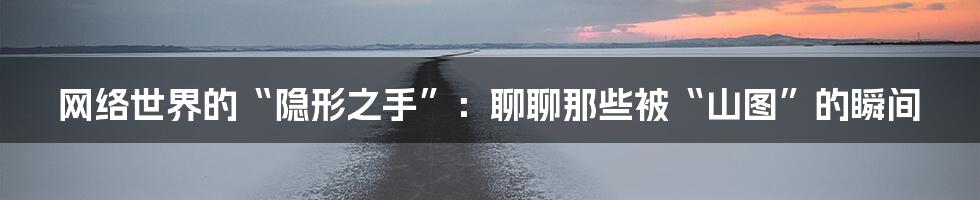 网络世界的“隐形之手”：聊聊那些被“山图”的瞬间