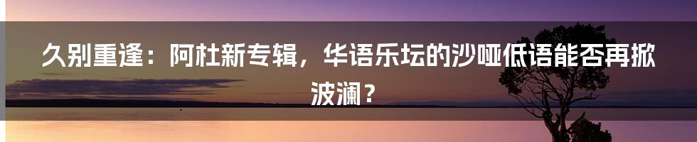 久别重逢：阿杜新专辑，华语乐坛的沙哑低语能否再掀波澜？