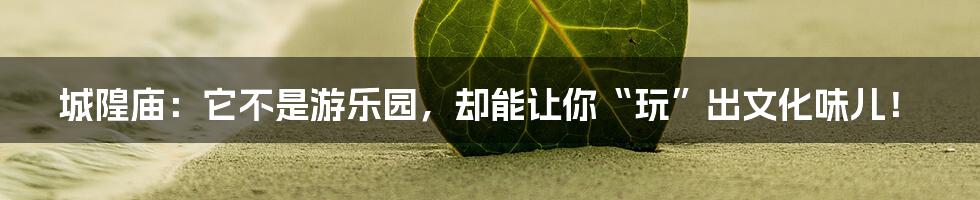 城隍庙:它不是游乐园,却能让你“玩”出文化味儿!