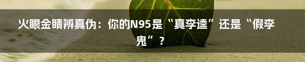 火眼金睛辨真伪：你的N95是“真李逵”还是“假李鬼”？
