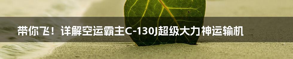 带你飞！详解空运霸主C-130J超级大力神运输机