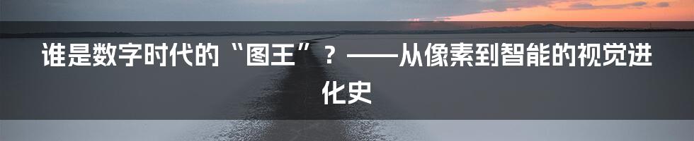 谁是数字时代的“图王”？——从像素到智能的视觉进化史