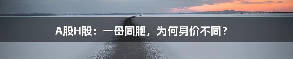 A股H股：一母同胞，为何身价不同？