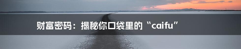 财富密码：揭秘你口袋里的“caifu”