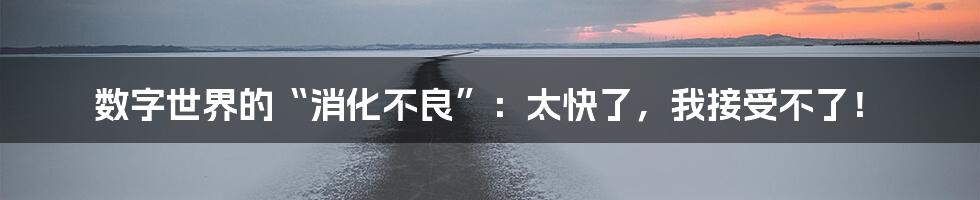 数字世界的“消化不良”:太快了,我接受不了!