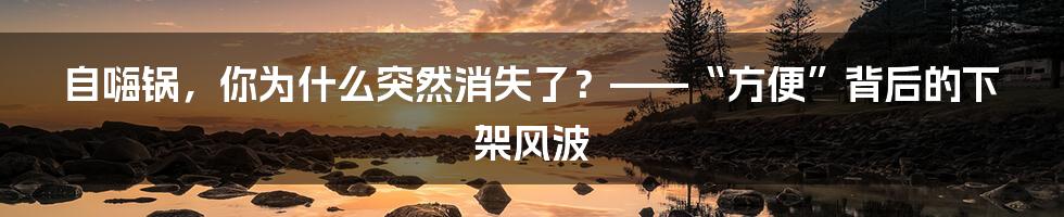 自嗨锅，你为什么突然消失了？——“方便”背后的下架风波