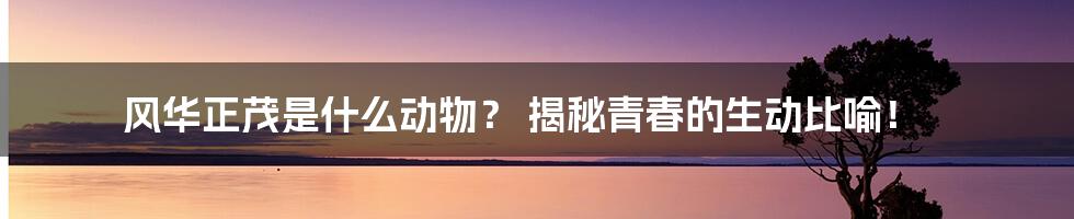 风华正茂是什么动物？ 揭秘青春的生动比喻！