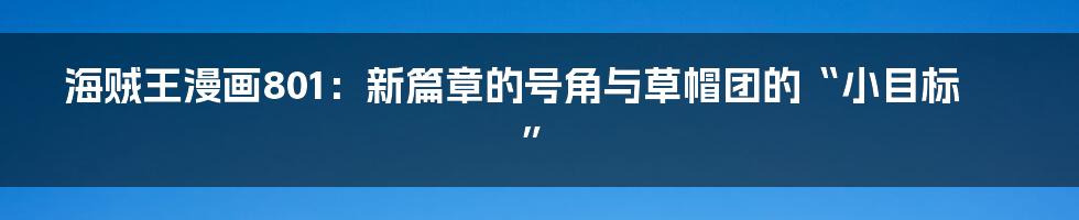 海贼王漫画801：新篇章的号角与草帽团的“小目标”