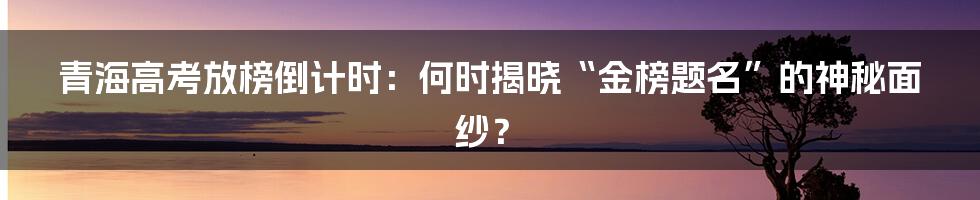 青海高考放榜倒计时：何时揭晓“金榜题名”的神秘面纱？