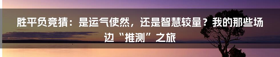 胜平负竞猜：是运气使然，还是智慧较量？我的那些场边“推测”之旅