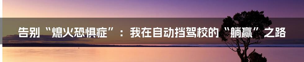 告别“熄火恐惧症”：我在自动挡驾校的“躺赢”之路