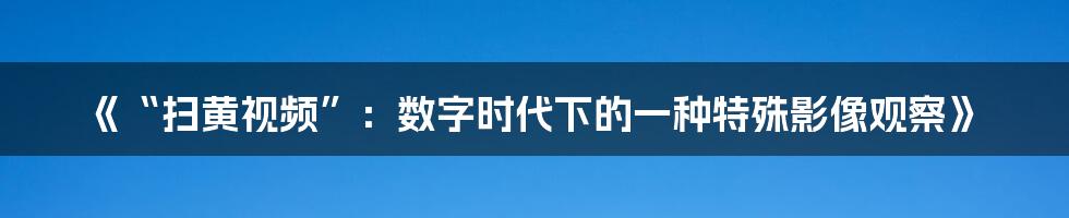 《“扫黄视频”：数字时代下的一种特殊影像观察》