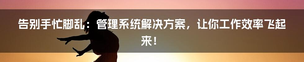 告别手忙脚乱：管理系统解决方案，让你工作效率飞起来！