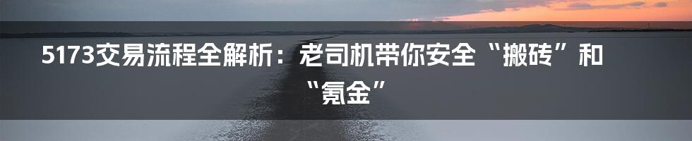 5173交易流程全解析：老司机带你安全“搬砖”和“氪金”