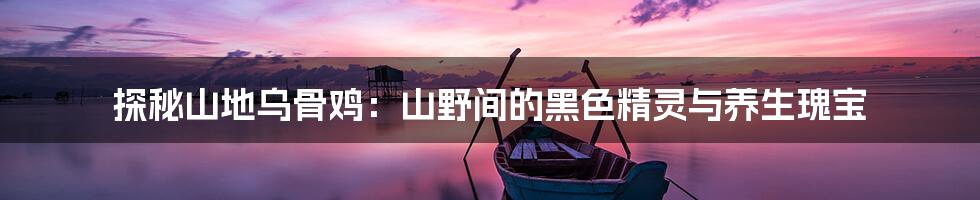 探秘山地乌骨鸡：山野间的黑色精灵与养生瑰宝