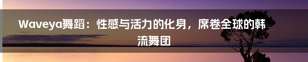 Waveya舞蹈:性感与活力的化身,席卷全球的韩流舞团
