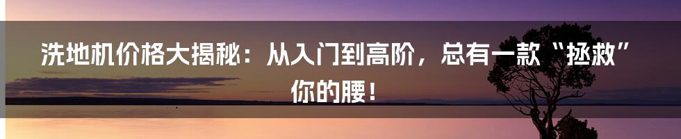 洗地机价格大揭秘:从入门到高阶,总有一款“拯救”你的腰!