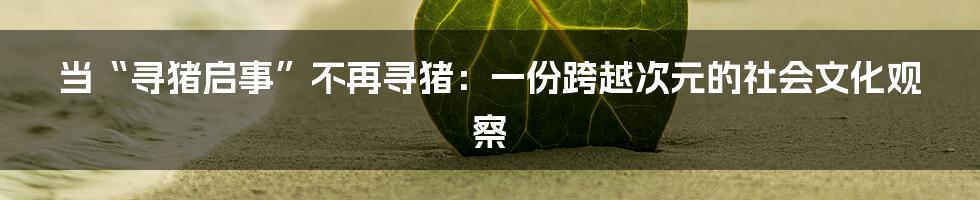 当“寻猪启事”不再寻猪：一份跨越次元的社会文化观察