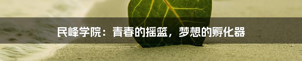 民峰学院：青春的摇篮，梦想的孵化器