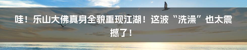哇！乐山大佛真身全貌重现江湖！这波“洗澡”也太震撼了！
