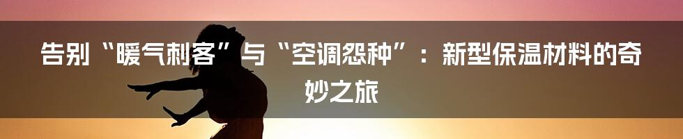 告别“暖气刺客”与“空调怨种”：新型保温材料的奇妙之旅