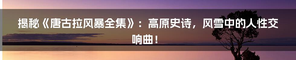 揭秘《唐古拉风暴全集》:高原史诗,风雪中的人性交响曲!